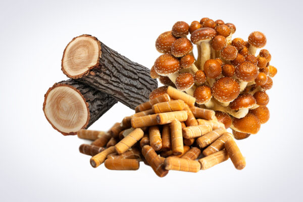 Shiitake mushrooms, logs, and wood pellets arranged on a white background.