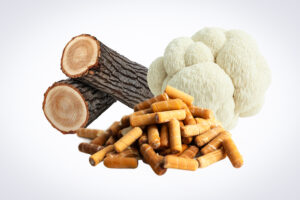 Two logs, a lion’s mane mushroom, and a pile of brown capsules on a white background.