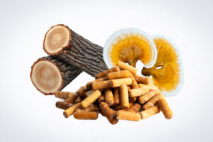 Two cut logs, two dried mushroom slices, and several wood pellets on a white background.