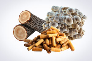 Logs, wood pellets, and oyster mushrooms grouped together on a white background.