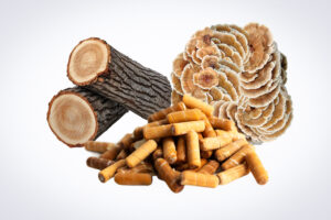 Logs, brown mushroom, and yellow supplement capsules arranged on a white background.