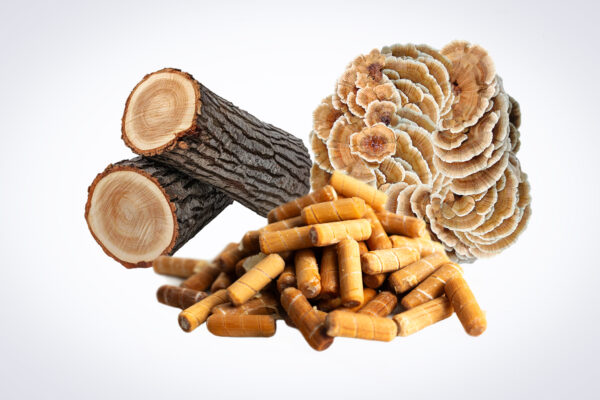 Logs, brown mushroom, and yellow supplement capsules arranged on a white background.