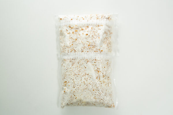 A sealed plastic bag filled with white mycelium and grain on a white background.