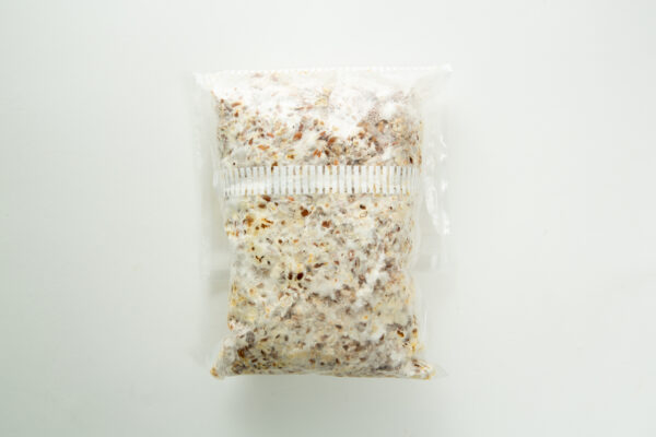 A sealed plastic bag filled with grain and white mycelium against a plain white background.