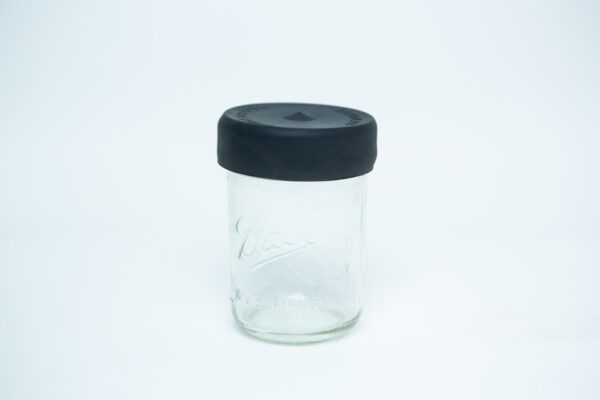 A clear wide-mouthed glass jar with a silicone Mason jar rubber lid stands against a plain white background.