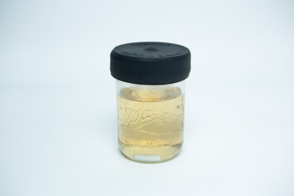 A clear glass jar with a wide mouth and a black silicone mason jar rubber lid is half-filled with light yellow liquid and placed on a white background.